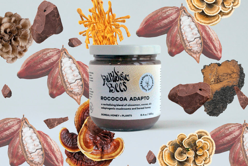 Rococoa Adapto Honey
