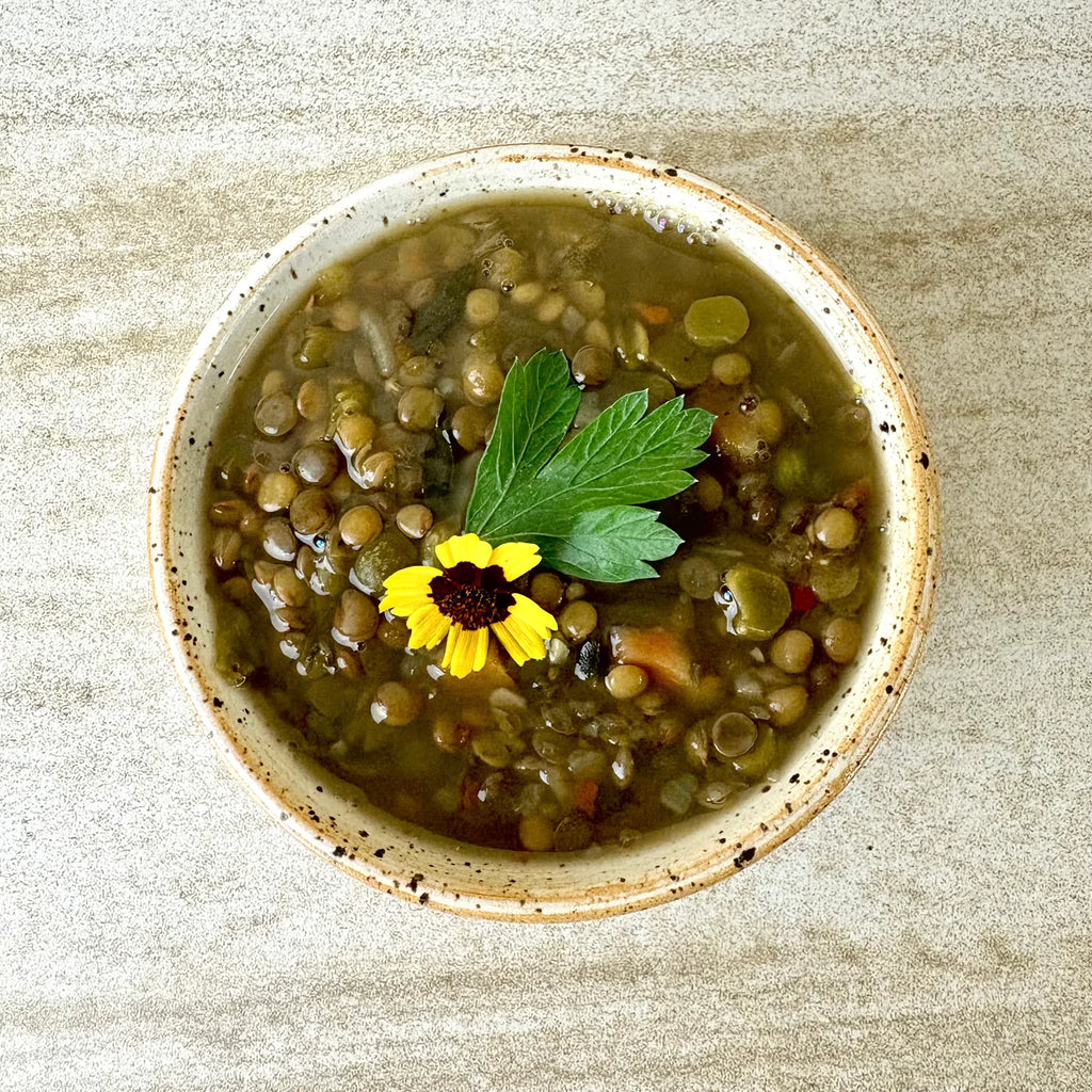 Herb Garden Soup