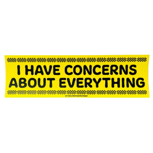 I have concerns about everything Bumper Sticker