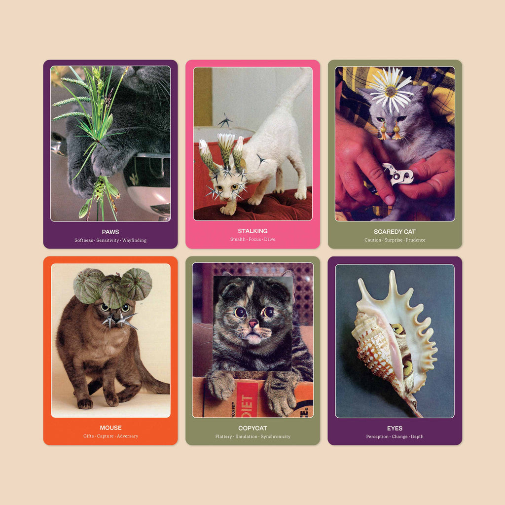 The Cat Oracle Deck