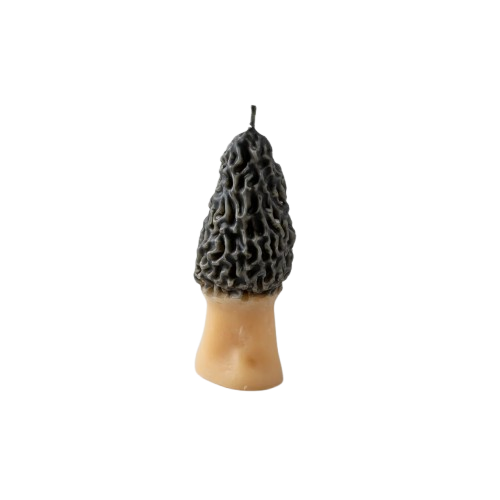 Charcoal Morel Beeswax Candle