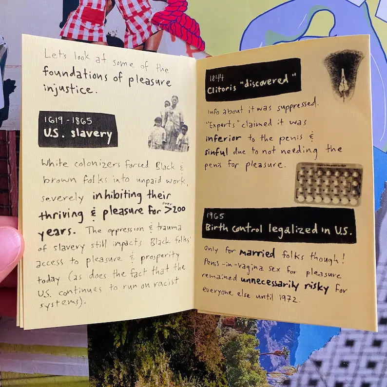 Pleasure Injustice Zine