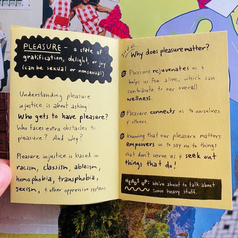 Pleasure Injustice Zine