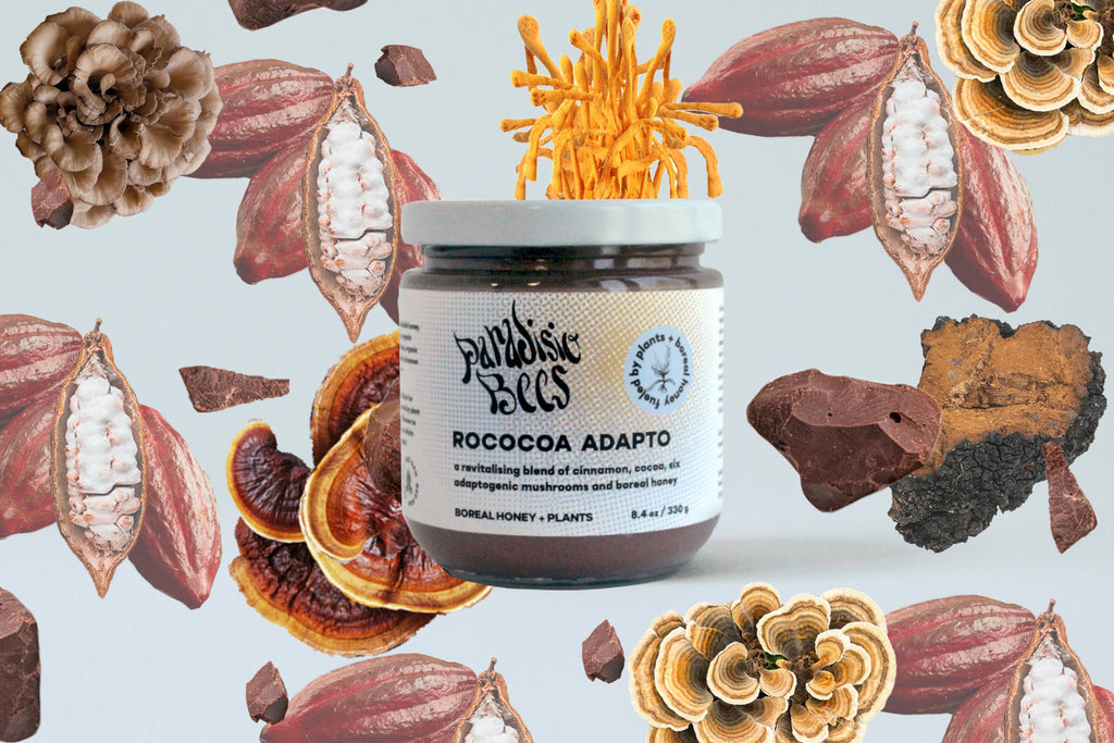 Rococoa Adapto Honey