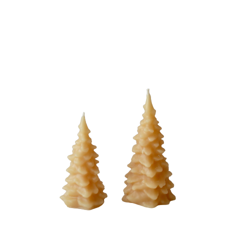 Spruce Tree Beeswax Candle